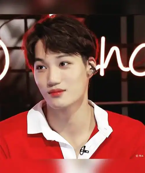 金钟仁最棒金钟仁最棒金钟仁可爱可爱可爱小熊-vlog视频-搜狐视频