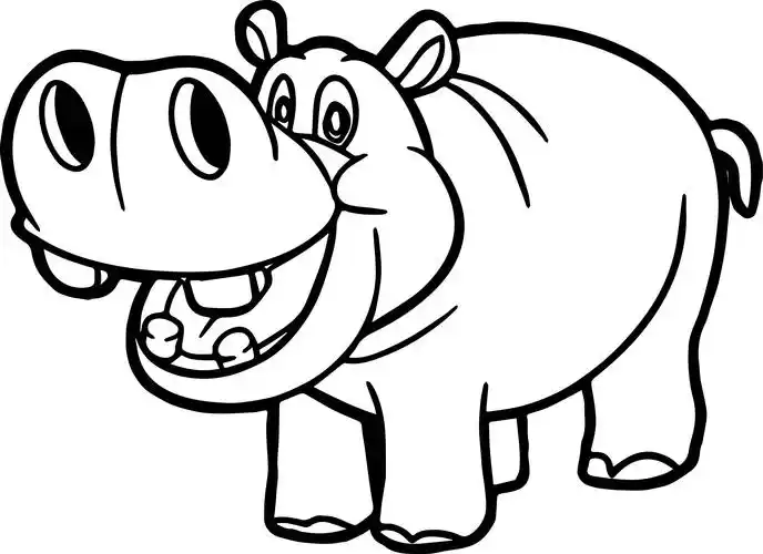 zoo hippopotamus coloring page