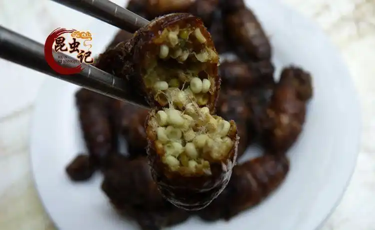 满籽母蚕蛾营养美味大蚕蛾柞蚕炸蚕蛾嫩蛾15只昆虫记 50g【图片 价格