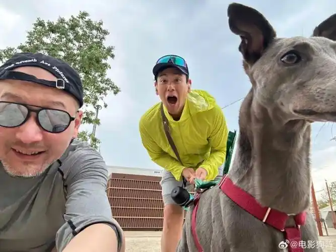 口碑引爆戛纳!全网首篇揭秘管虎彭于晏新作《狗阵》四大细节