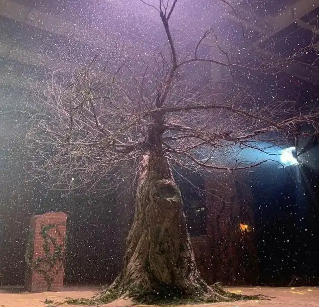 德鲁纳酒店大结局什么意思悬念众多疑为第二部续集做铺垫