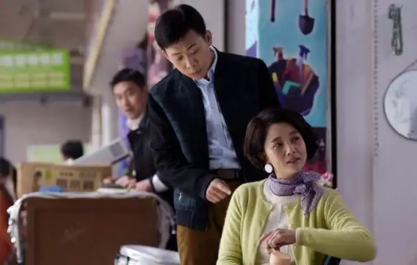 鸡毛飞上天骆玉珠卖人贩子是第几集 殷桃实力演绎传奇女性