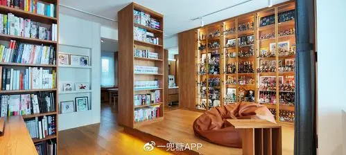 左右两面墙都是满满手办