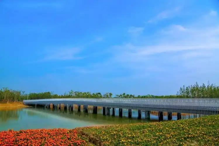 宿迁 三台山国家森林公园门票