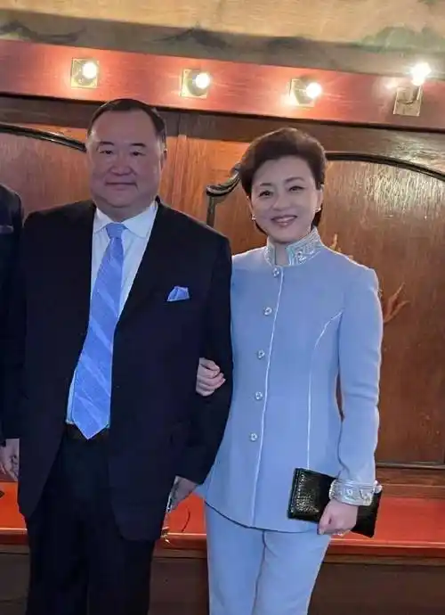 杨澜:我与老公早已无爱,若强行在一起,对彼此都是很不好的