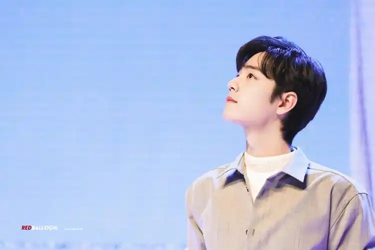 肖战- 堆糖,美图壁纸兴趣社区