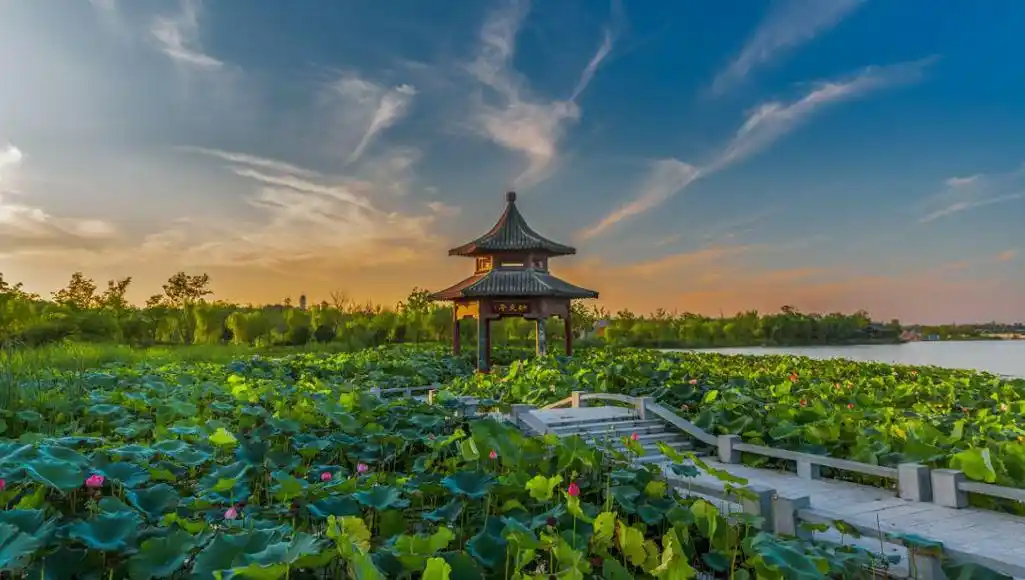 宿迁14个美景 林承强$我的旅行日记 🌳湖滨公园 宿迁市湖滨公园,湖