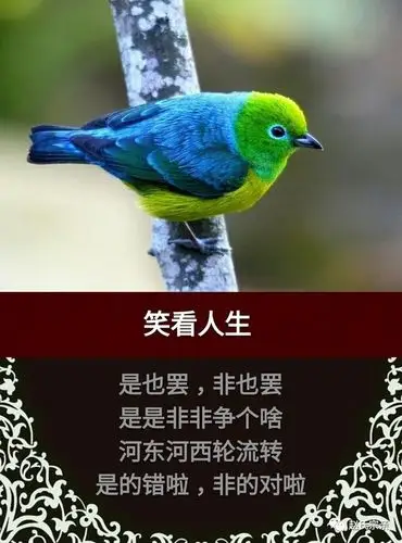 历史 正文笑看人生 这有 这里 "阅读原文" 返回搜             责任