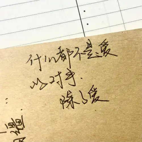 2021621摘抄什么都不是爱的对手除了爱