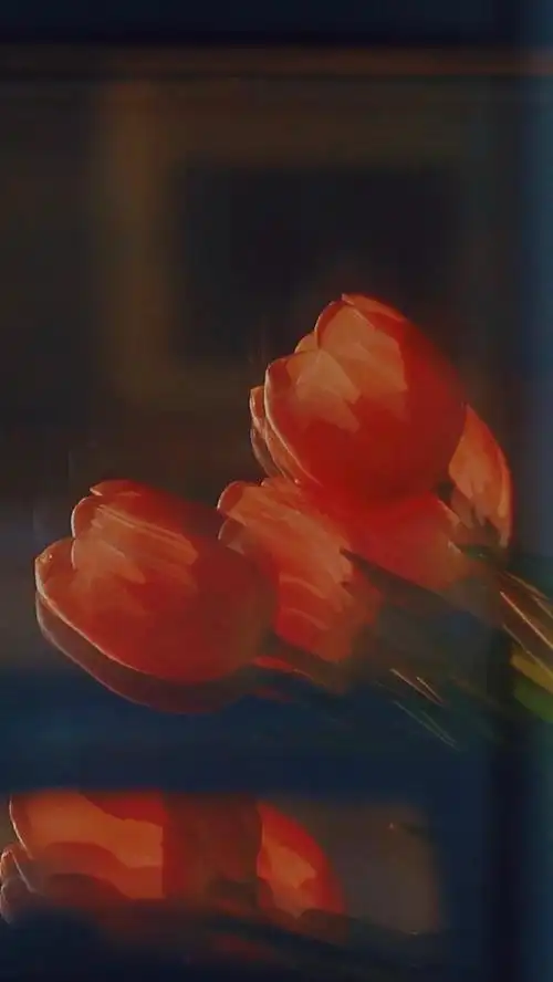 ins背景图治愈系(超治愈ins风壁纸)