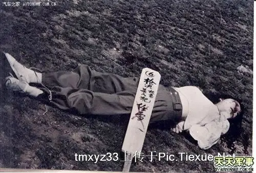 枪决美女的真相