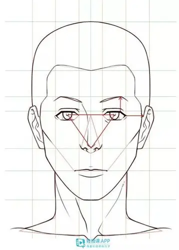 如何画出合理自然的漫画人脸?
