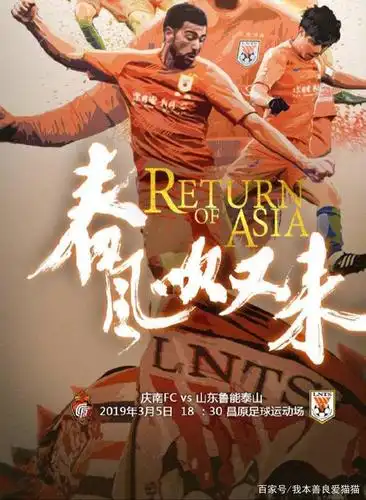 2019年山东鲁能泰山海报大赏