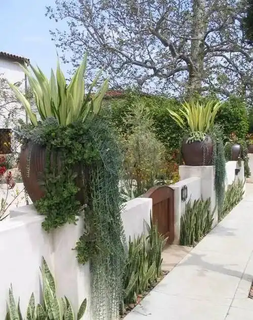 多肉庭院,美极了!