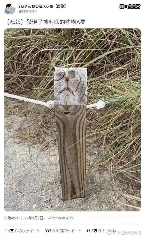 你有哪些让人一看就笑死的图片118