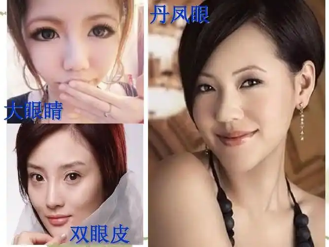 丹凤眼 大眼睛 双眼皮