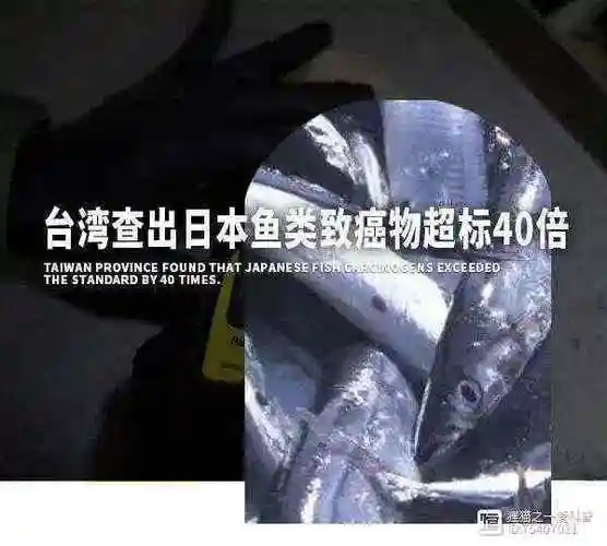 继保健品吃死人后台湾又查出日本鱼类致癌物超标40倍引发担忧