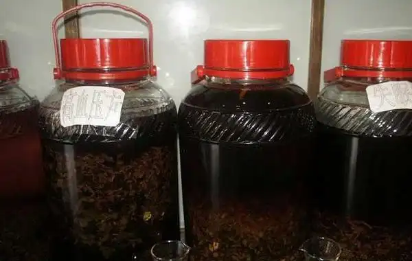 何首乌酒功效与作用,何首乌酒制作方法