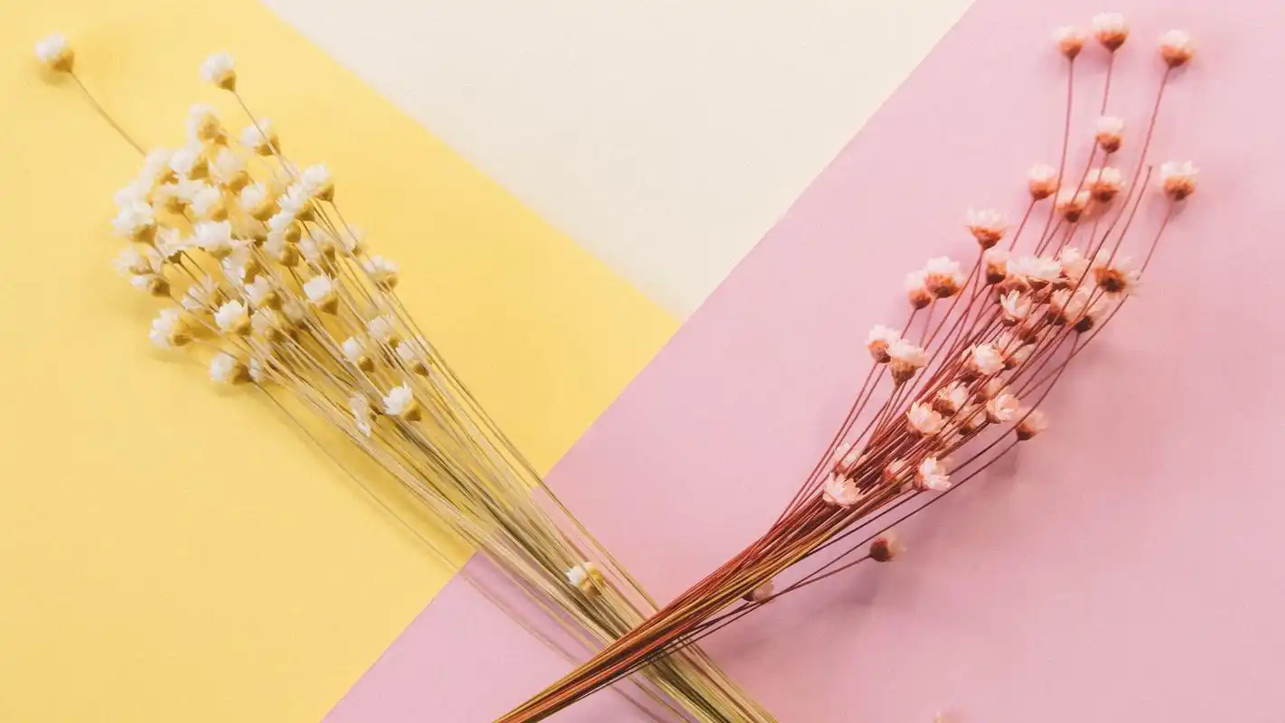 温馨的干花背景创意设计桌面壁纸高清大图预览1920x1080_设计创意下载