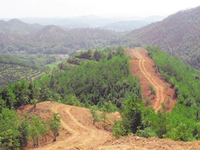 建设森林防火隔离带能够有效阻滞和延缓火灾蔓延,对森林火灾能够起到