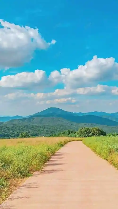 农村迷人风景图片,乡间小路唯美意境图片
