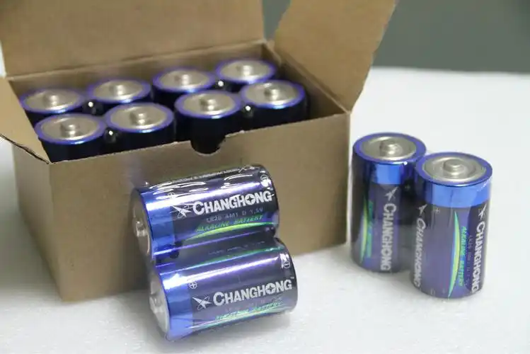 1号电池 长虹大号碱性电池 热水器燃气炉专用 一号lr20/d型电池