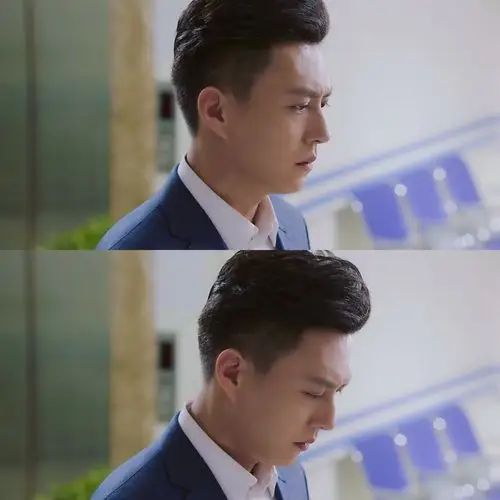 靳东 我的前半生贺涵