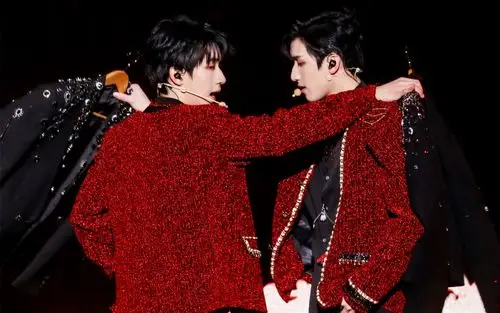 tnt时代少年团情人和做我的猫翔霖一周年演唱会合作舞台即使家长们坐