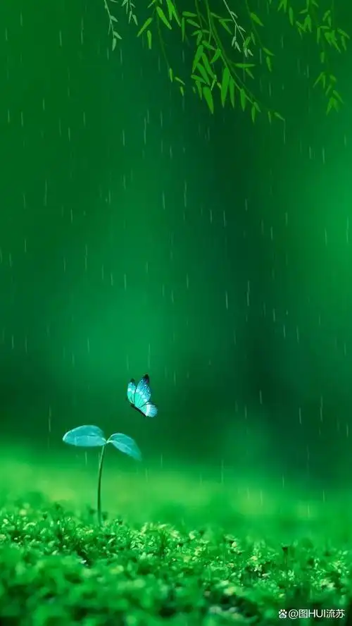 绿色系超清新壁纸