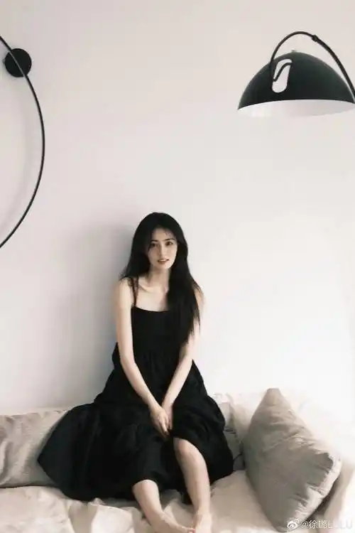 徐璐晒温柔居家照 穿吊带黑裙又纯又欲 与爱狗合照画面温馨治愈_沙发