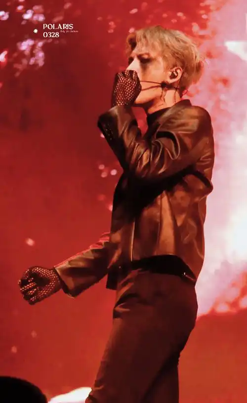 王嘉尔巴黎演唱会