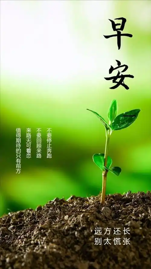 早安正能量语录今日励志心语