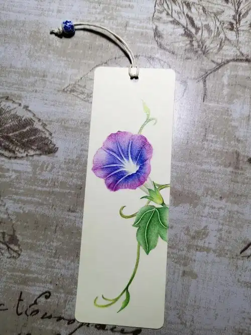 彩铅书签:花草