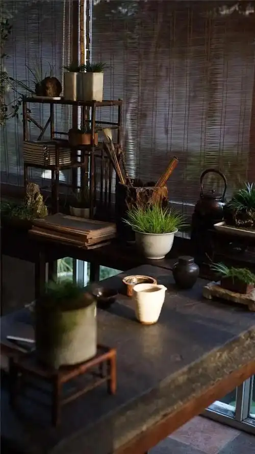 心静茶至禅现其中