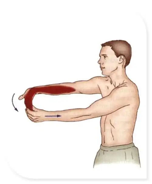 上肢肌肉拉伸 ot 康复大图