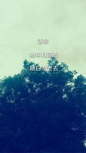 高清壁纸,锁屏,原创壁纸,苏打绿歌词
