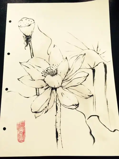 花卉植物动物线条水墨画|纯艺术|国画|kong2dog - 原创作品 - 站酷