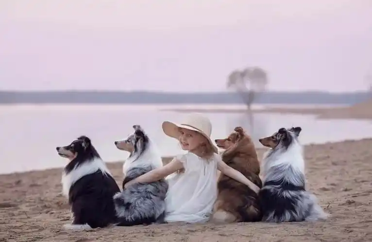 治愈他拍出了世上最暖心的瞬间看完整个人都被治愈了