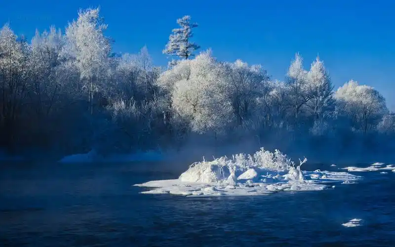 黑龙江伊春库尔滨雾凇风景实拍