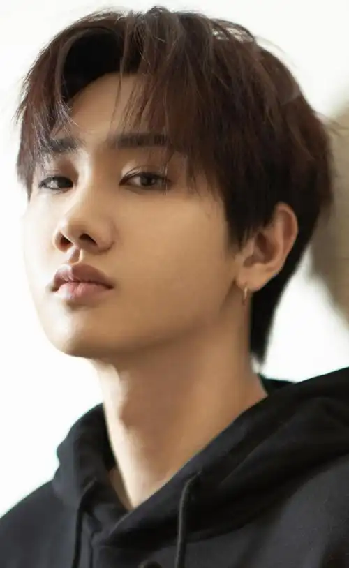 水贴汪苏泷耳饰收集楼i耳垂进来