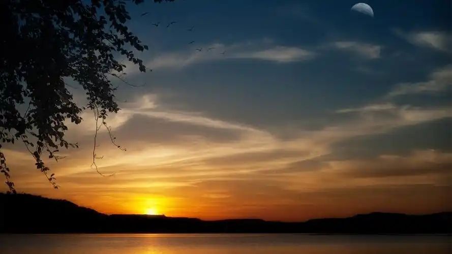 夕阳下的树影唯美风景