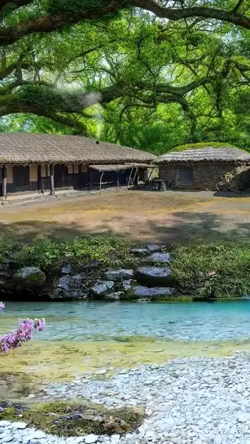 深山草屋为家,远离尘世繁华,忙时修篱种花,闲时三五好友小酒清茶.