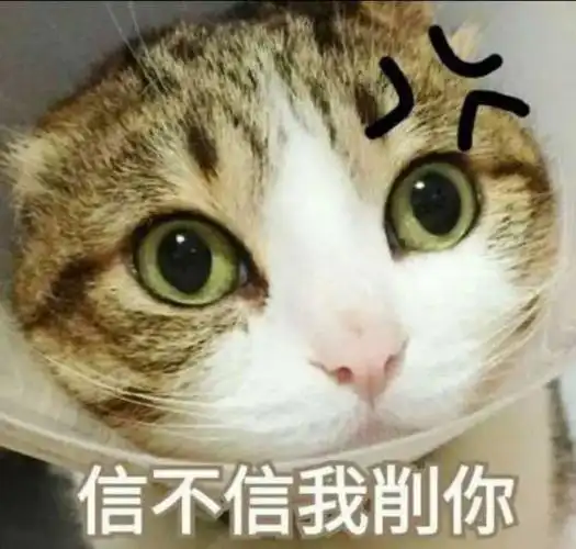 信不信我叫一群人轮奸你-表情图片-搞笑图片表情包-表情包网站