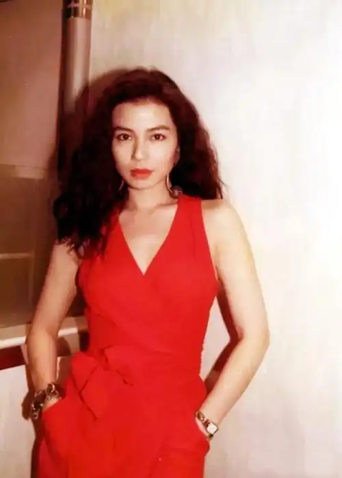 香港女明星嫁豪门的都有哪些(香港女明星嫁豪门惨瘦剩下40斤)-天晟网