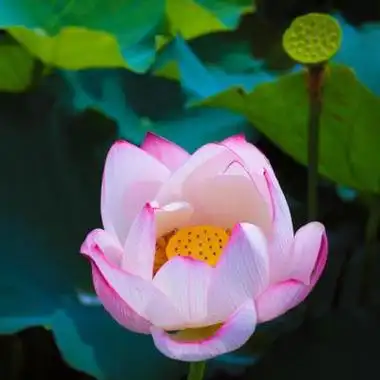 好看的80后头像图片(26张)