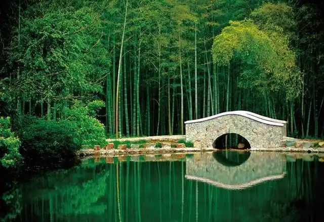 中国最美竹海:拥有近4万亩翠绿的竹林,常年青翠就在苏皖边界!