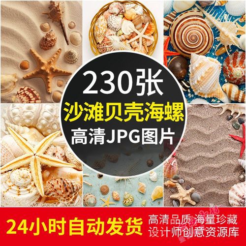 高清海边沙滩贝壳海螺图片海星漂流瓶清新夏日电脑壁纸照片2k素材