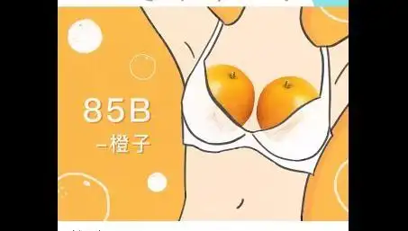 罩杯abcd怎么分大小水果形容ag罩杯图片