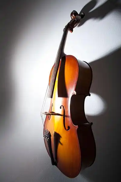 大提琴图片_图片大全