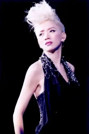 p>梅艳芳(1963年10月10日—2003年12月30日),出生于中国香港,祖籍